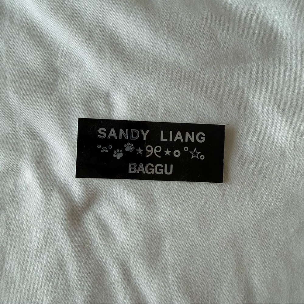 Sandy liang x baggu collaboration sticker